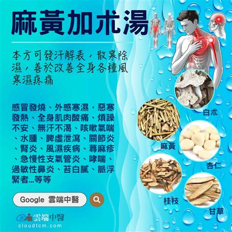 麻黃加朮湯|醫砭 » 常用方劑 » 麻黃加朮湯